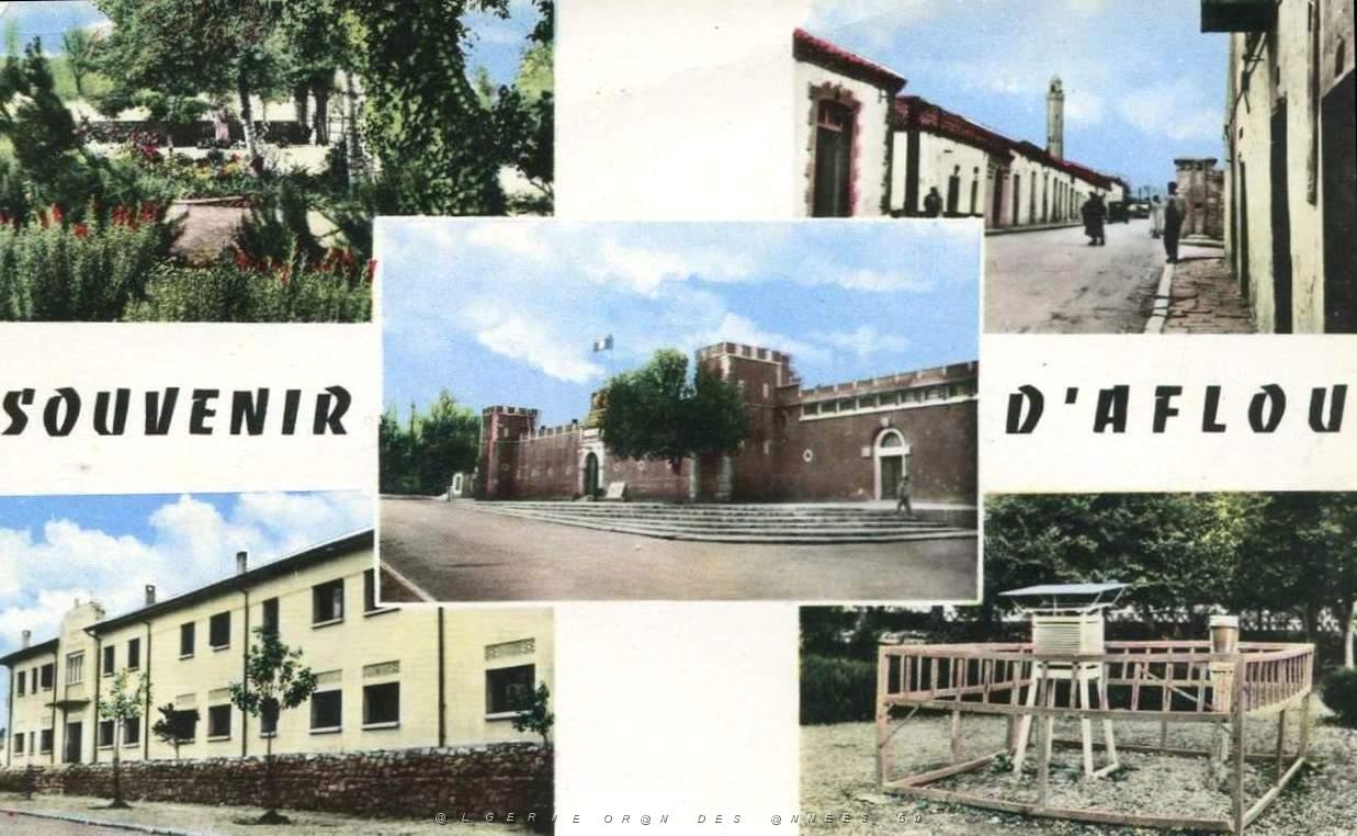 Aflou 712.jpg